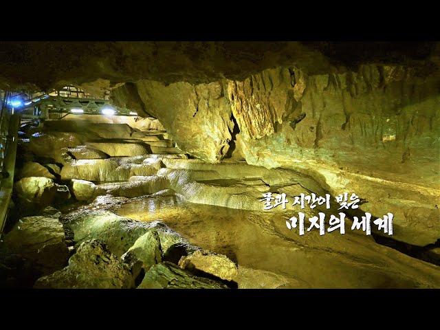 [UHD][아름다운 자연유산 숨결] 5억 년 자연의 신비를 간직한 삼척 대이리 동굴지대