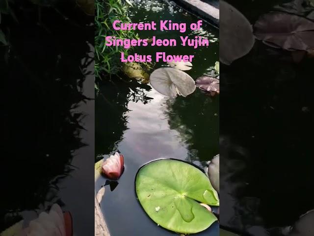 ︎︎︎현역가왕 전유진  #연꽃  그리고 미쿡맘  일상︎︎︎