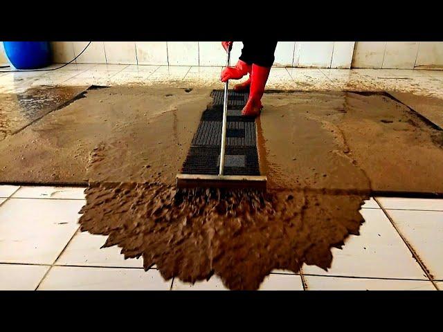 Horrible dirty flood damaged carpet cleaning satisfying ASMR