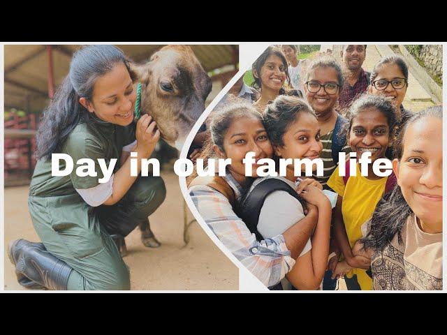 Typical day in our final year clinicals… #farmrotation #vetstudent #veterinarymedicine #srilanka