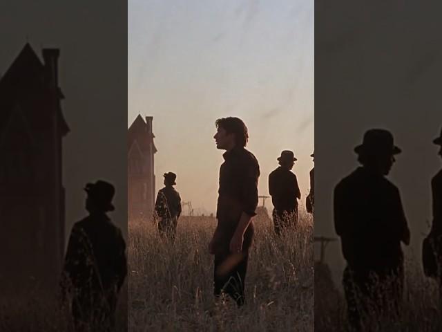 “Days of Heaven” is one of the most beautiful films ever made  #cinema #filmmaking #cinematography