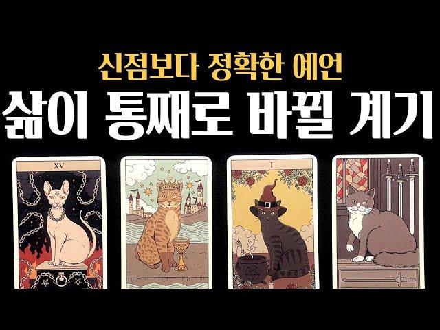 [타로] 99.9% 미친 적중률내 삶을 통째로 바꾸는 계기가 옵니다 좋은 운이 들어오는 시기– 진심으로 기원합니다