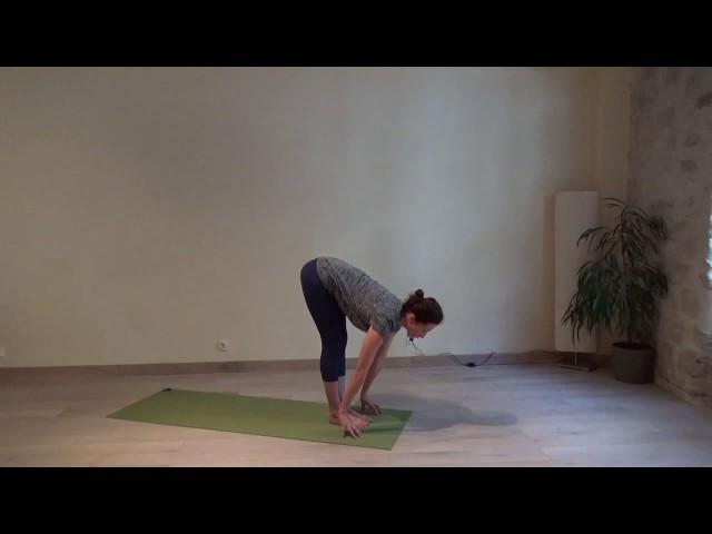 Vinyasa Yoga: Surya Namaskar A - La Solutation au Soleil A