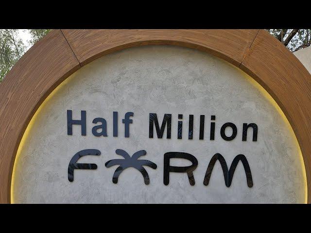 Tara! sa Half Million Farm  #minivlog #travel #coffee #fyp #saudiarabia