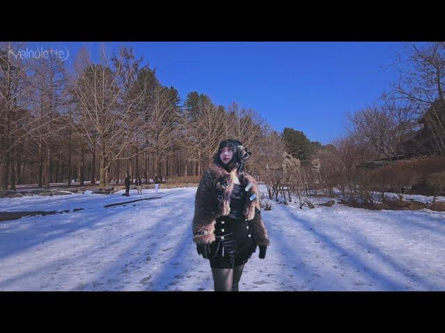 asmr. my first snow 내 첫 겨울 ️️ Nami Island, Chuncheon, South Korea.