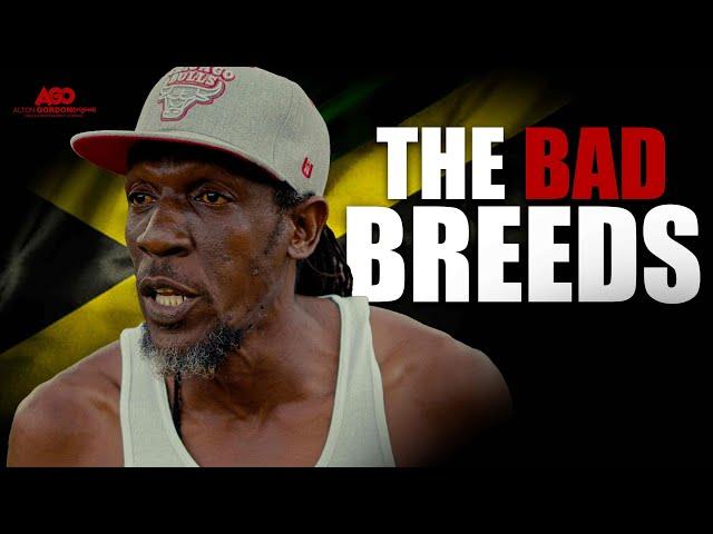 THE BAD BREEDS - JAMAICAN MOVIE ALTON GORDON ORIGINALS