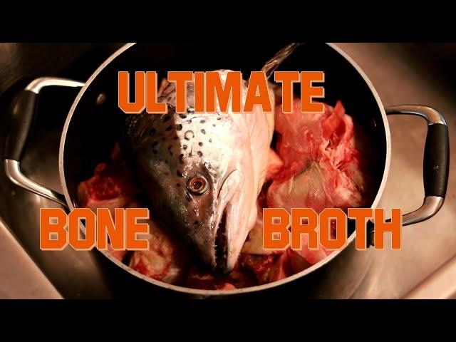 How to Make the Ultimate Homemade Bone Broth for Your Dog or Cat