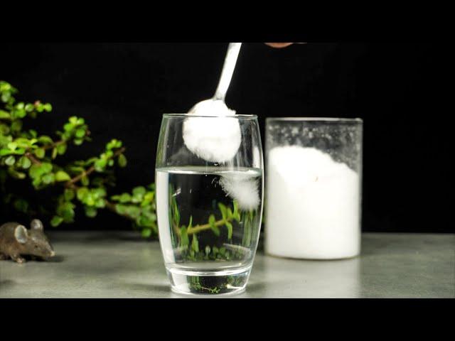 7 EASY SCIENCE EXPERIMENTS WITH SALT / SALT TRICKS