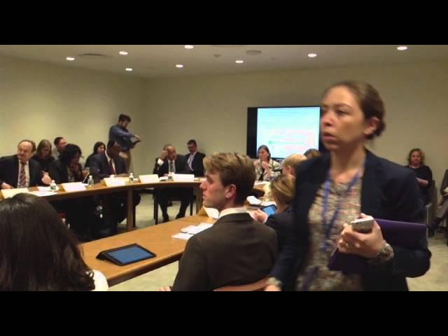 Event: Effective Development Co-operation and the UN 2030 Agenda: Part 1 of 2