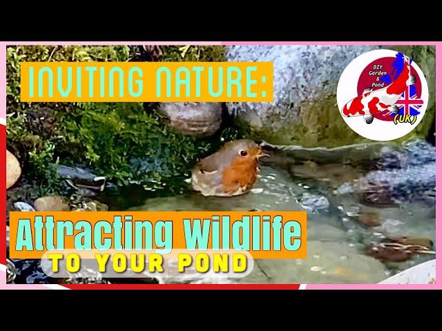 Attracting wildlife to your pond