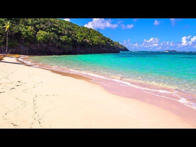 Softest Beach Sounds from the Tropics - Ocean Wave Sounds for Sleeping, Yoga, Meditation, Study