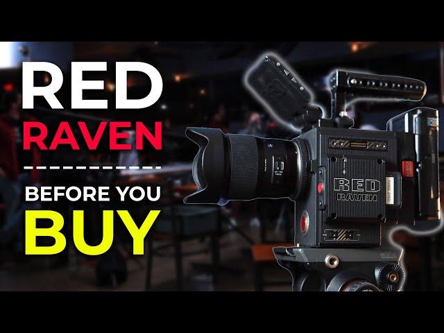 RED Raven: Before You Buy.... // 2024