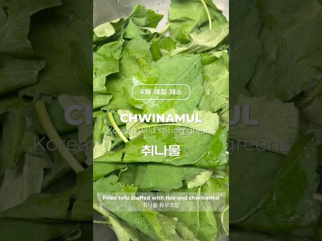 봄 제철채소 취나물 Chwinamul
