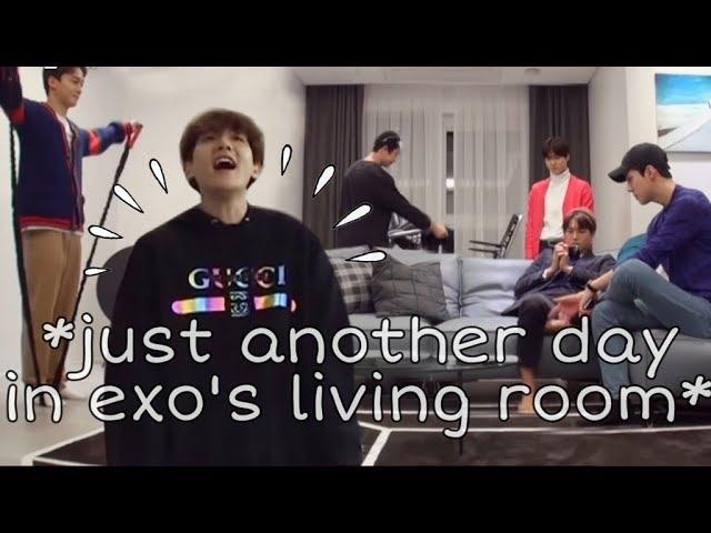 exo are their own species