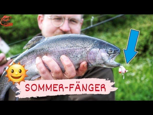 Die SOMMER-FORELLEN stehen flach? Damit FÄNGST DU sie JETZT!