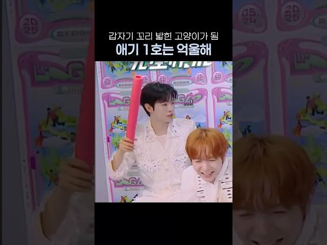 갑자기 맞아서 억울한 애기 1호 #유우시 #시온