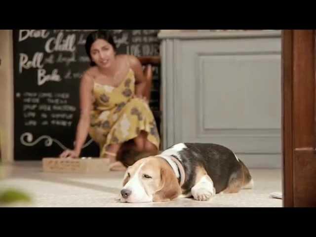 Vodafone - Dog