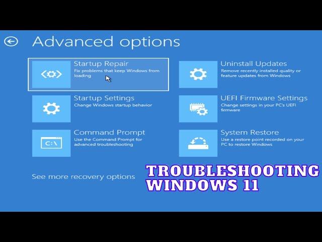Windows 11 advanced startup options for troubleshooting