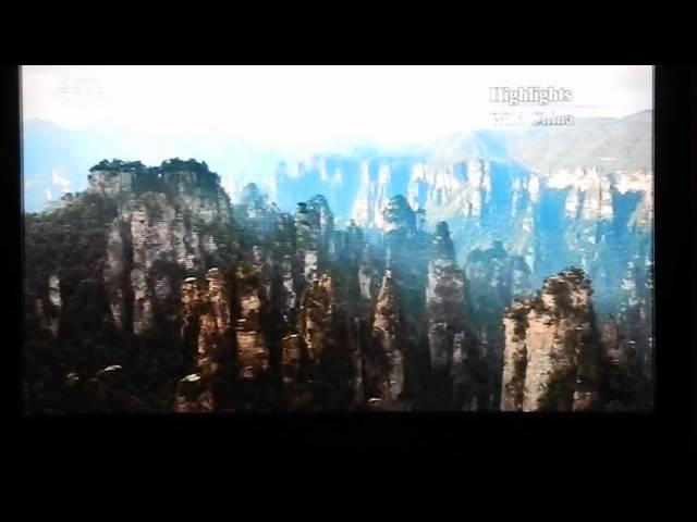 Wild China 天子山张家界 Tianzi Mtn in Zhangjiajie Highlights CCTV 9 Documentary DSCN4907 171857