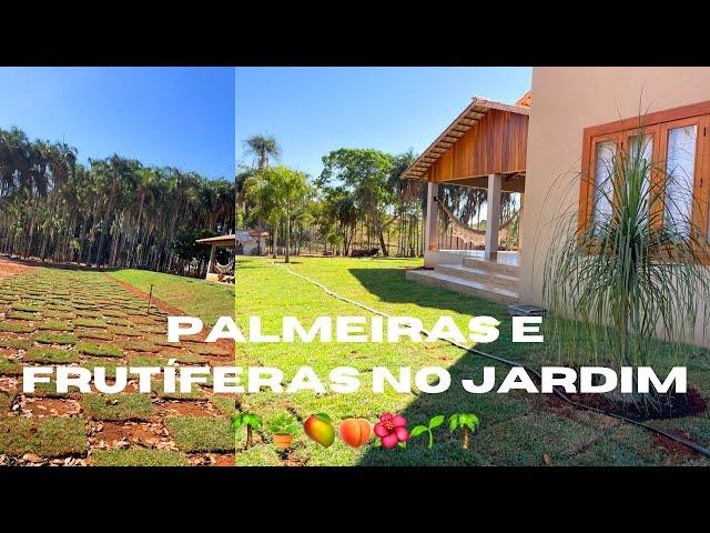 COMO FICOU LINDO  NOSSO JARDIM / PLANTAMOS VÁRIAS PALMEIRAS! AH TBM FRUTÍFERAS!