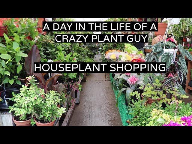 Houseplant Shopping | Day In The Life Of A Crazy Plant Guy