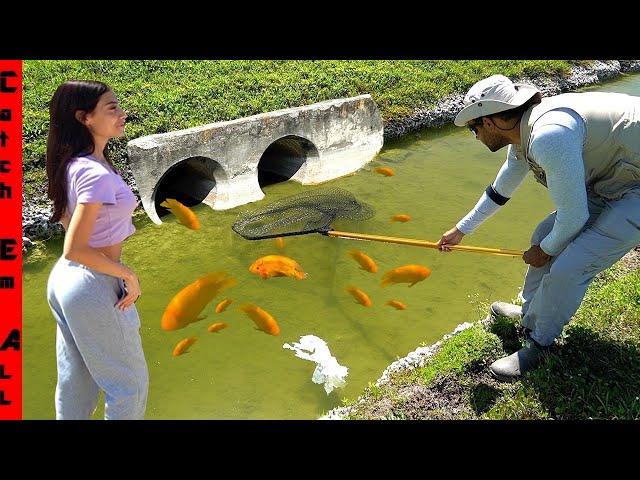 We FOUND a CLEAR WATER Ditch Underneath a HIGHWAY with COLORFUL FISH!