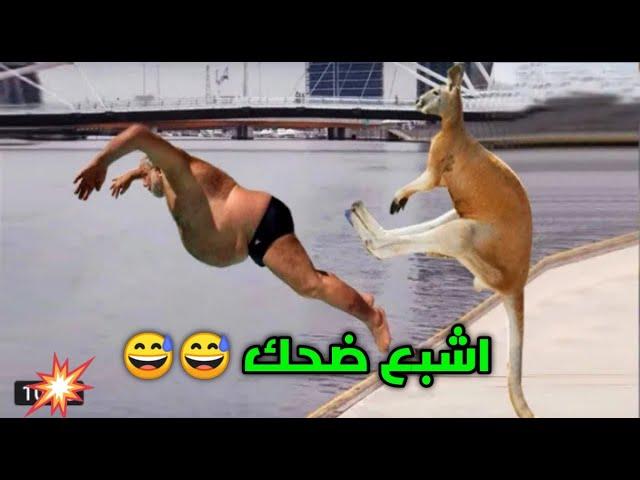 جديد فيديوهات الضحك هههههه 2022 فيديوهات موت بالضحك #21