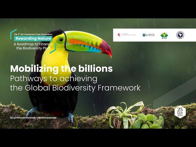 Mobilizing the billions: Pathways to achieving the Global Biodiversity Framework_draft