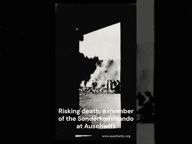 Burning of Bodies at Auschwitz II-Birkenau | Jewish History Unfolded
