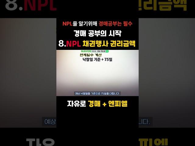 8. (NPL) 채권행사 권리금액