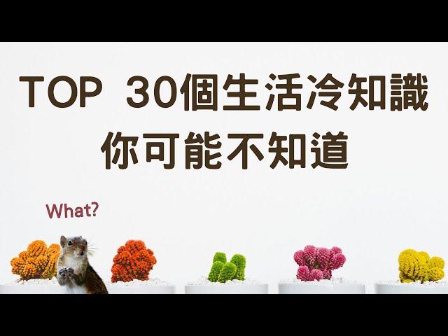 TOP 30個生活冷知識，你可能不知道