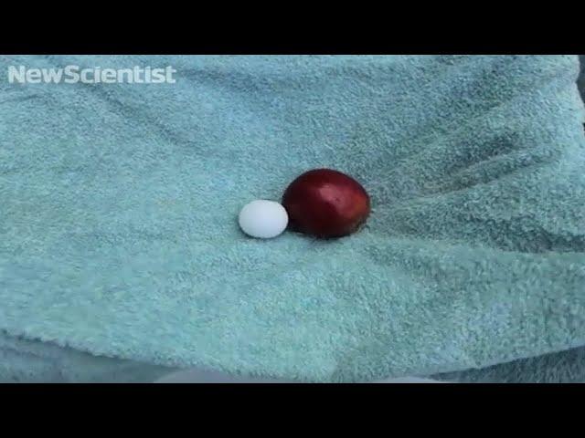 Gravitational waves explained with a towel and an apple