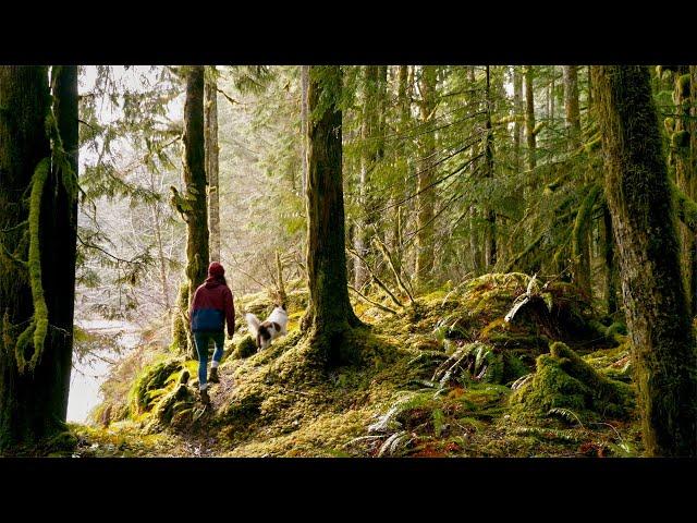 Grit, Authenticity, and Persistence: The Return of Wild Grit!
