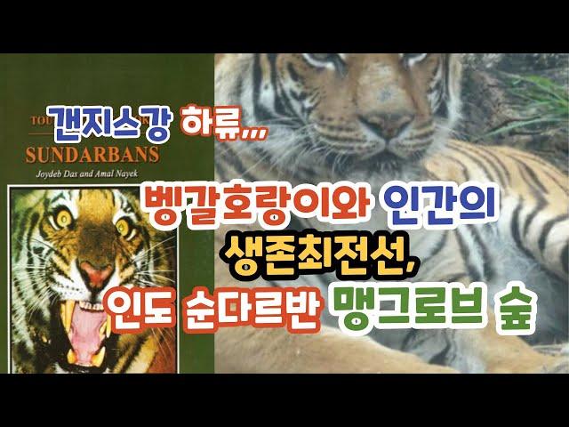 갠지스강 하류,,, 벵갈호랑이와 인간의 생존 최전선, 인도 순다르반 맹그로브 숲, 전운성의 횡단여행 74, Dr.Jeon's world journey