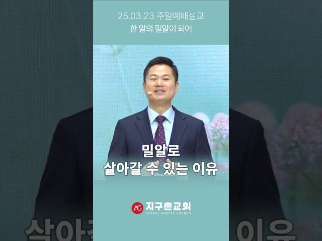 밀알로 살아갈 수 있는 이유 #shorts #ag지구촌교회 #주일예배설교 #강신승담임목사