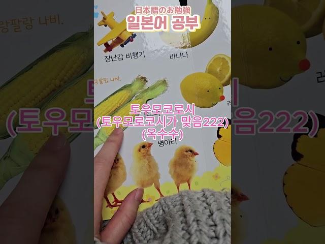 한일혼혈 딸에게 일본어를 알려주다가 귀여워서 엄청 웃었어요 ㅋㅋ