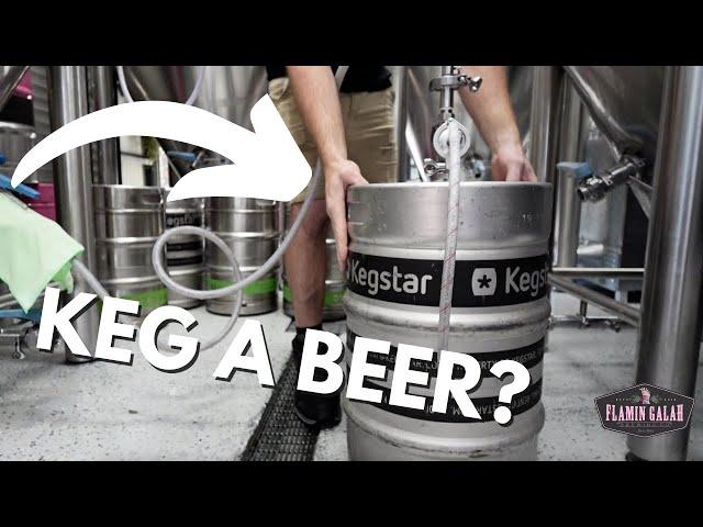 How to fill a Beer Keg