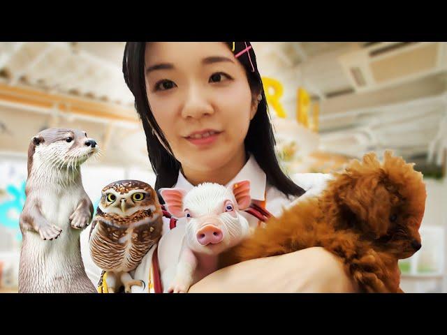 4 Animal Cafe in Tokyo for Rainy Day, Japan Travel Recommendation