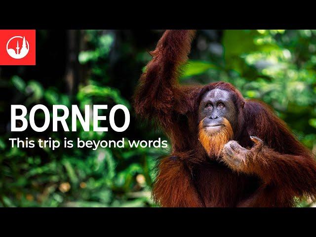 Discover Borneo with Intrepid Travel