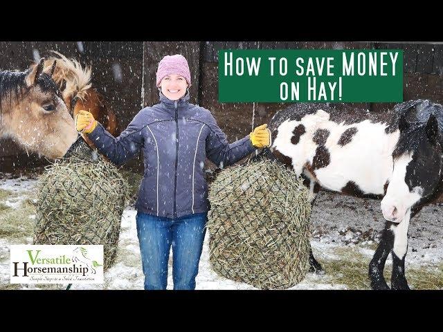 How to save money on hay  // Versatile Horsemanship