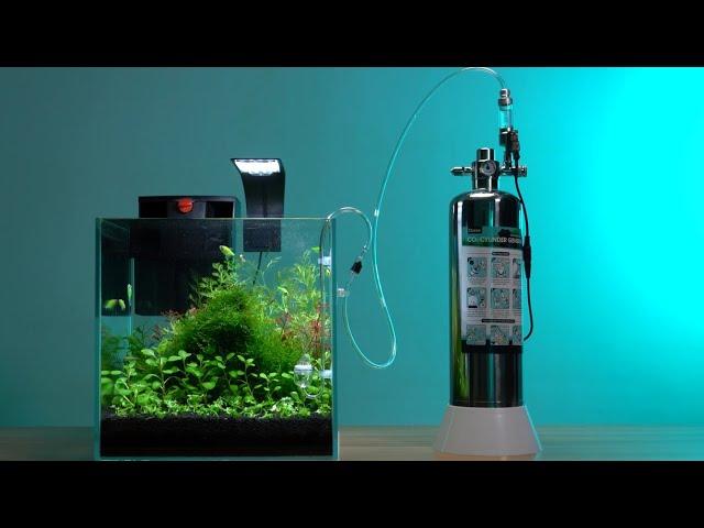 Clscea G600Smini/G700S Aquarium CO2 system with Solenoid valve  Setup