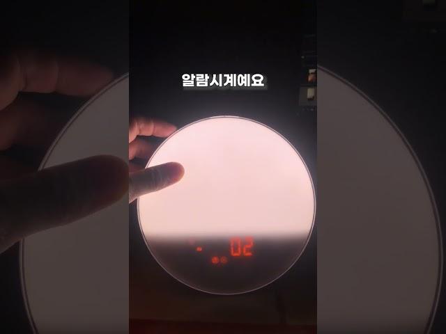 알람소리? 필요 없습니다. 미라클모닝 필수템 인공태양 알람시계 추천