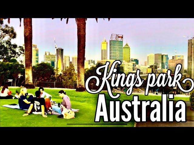 Western Australia: Kings Park and Botanical Gardens Perth | 4k Walking tour Australia