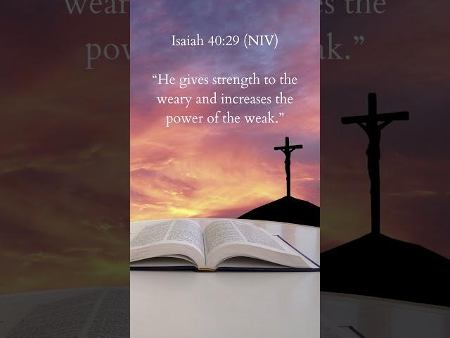 Great Bible Verses for Living #4 #jesus  #bibleversesdaily #christianity #guidance #jesuslovesyou