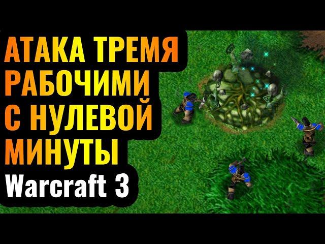 В АТАКУ С НУЛЕВОЙ МИНУТЫ: Самая БЫСТРАЯ и ГРЯЗНАЯ стратегия в Warcraft 3 Reforged