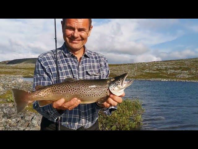 Arctic Hiking and Trout Fishing - July 2024