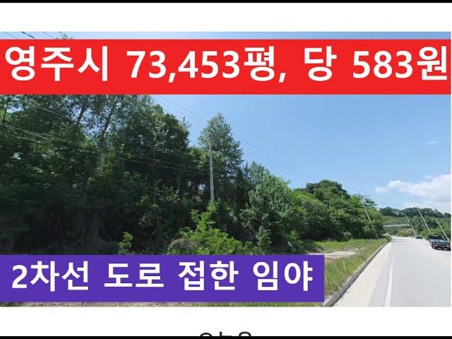 영주시 73,453평, 당 583원 (2차선 도로 접한 임야)