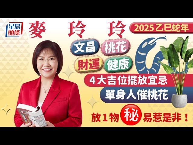 麥玲玲2025蛇年運程｜麥玲玲2025蛇年運程│乙巳年2025蛇年麥玲玲12生肖風水佈局一片睇清 stheadline.com/life