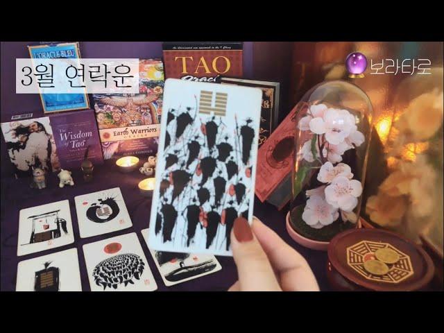 [타로카드] 연애운 : 왜 연락안해? 연락 올까?