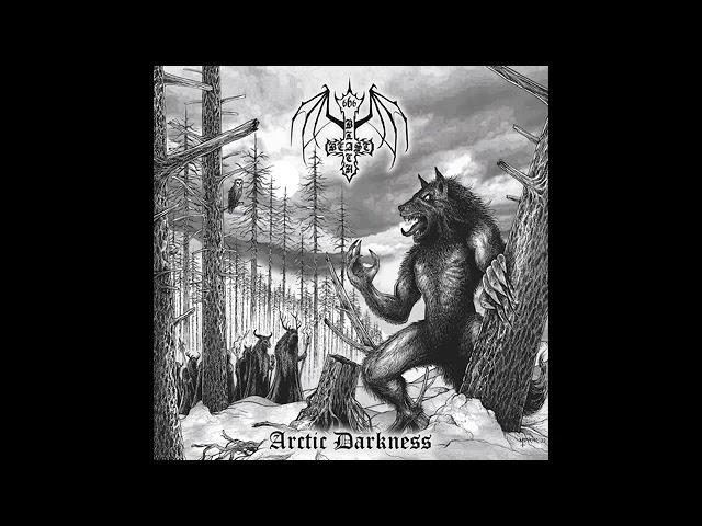 Black Beast - Arctic Darkness